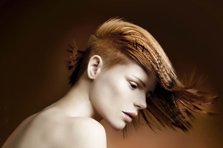 Color-Artwork 2